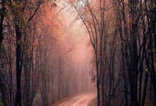 什么原因？ITV删除了里斯-詹姆斯称赞图赫尔的视频.