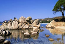 狗子28：辽宁休息日！赵继伟与王君瑞会餐，生病只能吃面食，喉咙仍沙哑！.